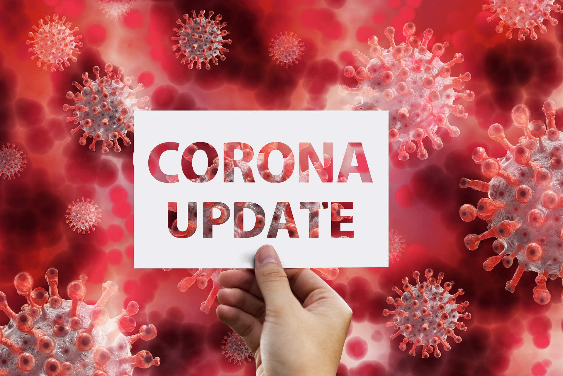 فيروس كورونا: معلومات عن السلالة الجديدة شديدة التحور